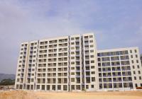 首月租金立減10%，黃江星光村工業園內52間精裝宿舍公寓業主對外出租